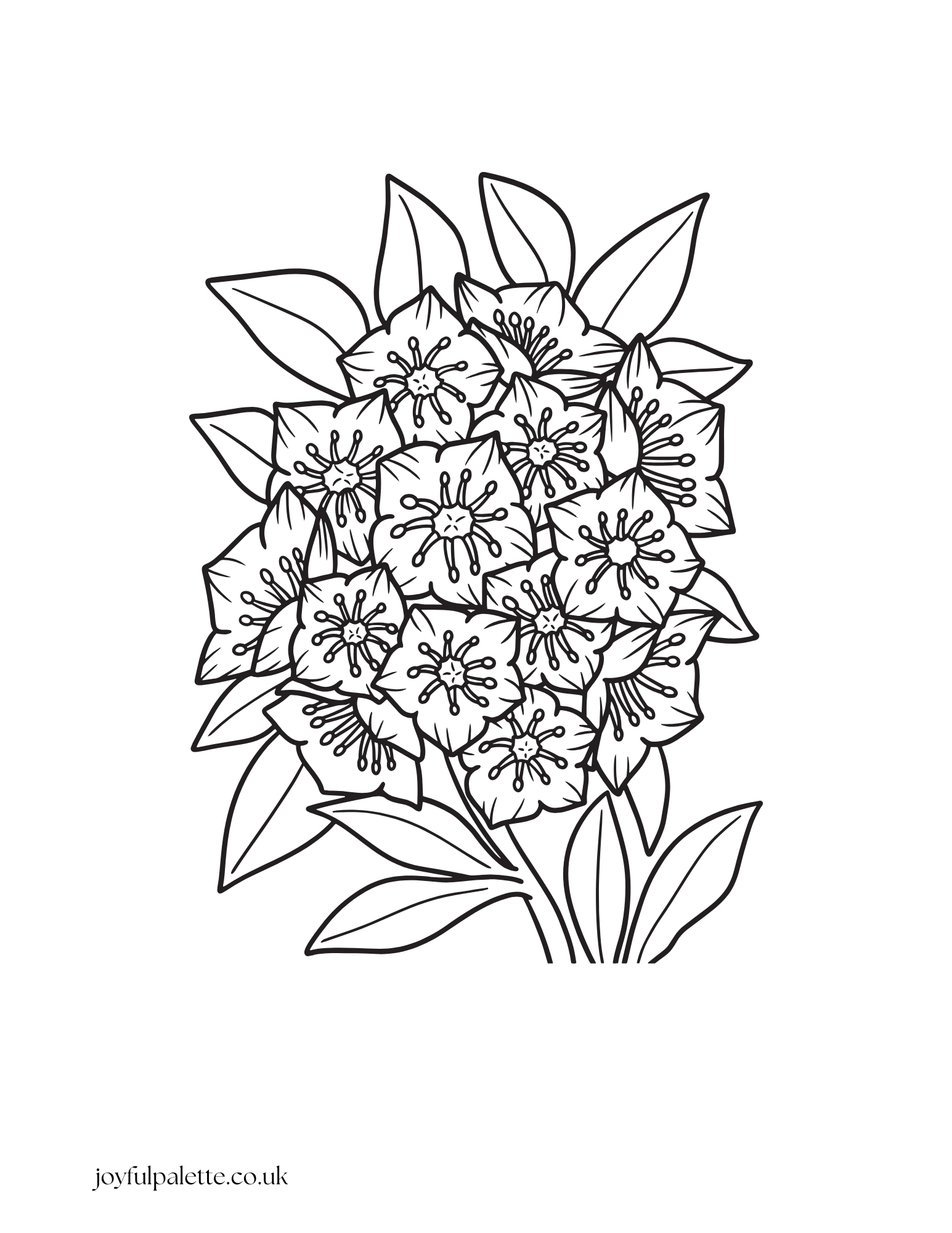 Free Flower Coloring Pages