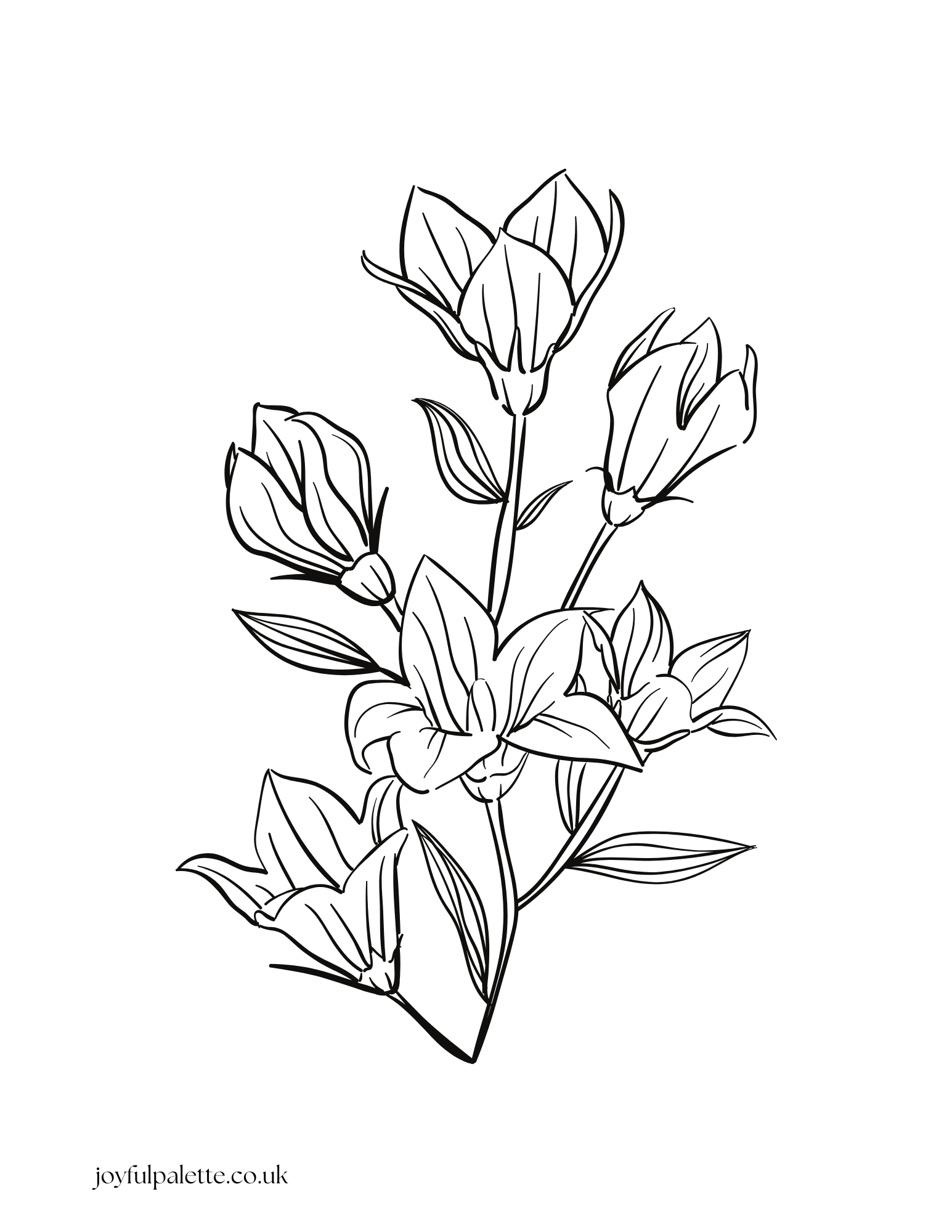 Printable Flower Coloring Pages