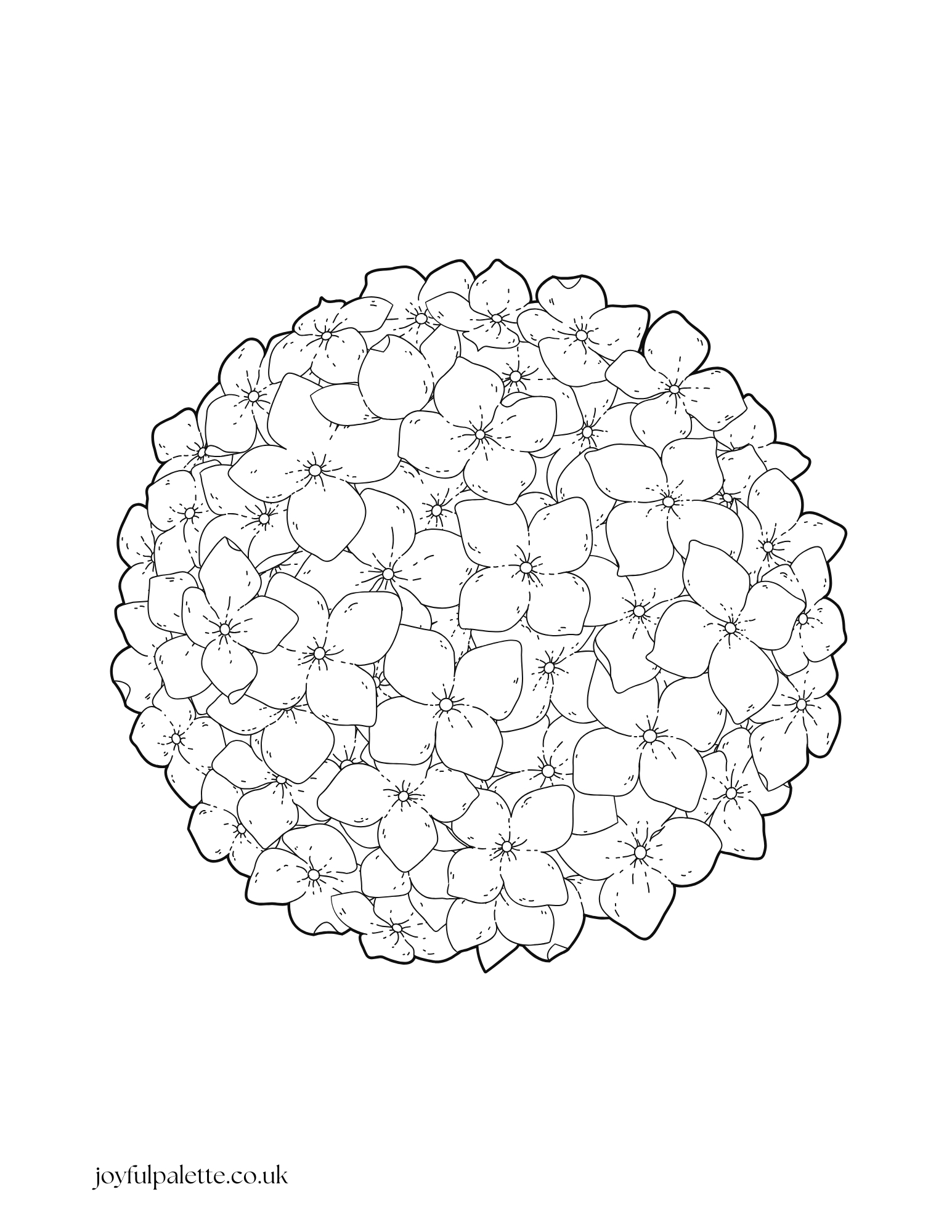  Hydrangea Flower Coloring Page