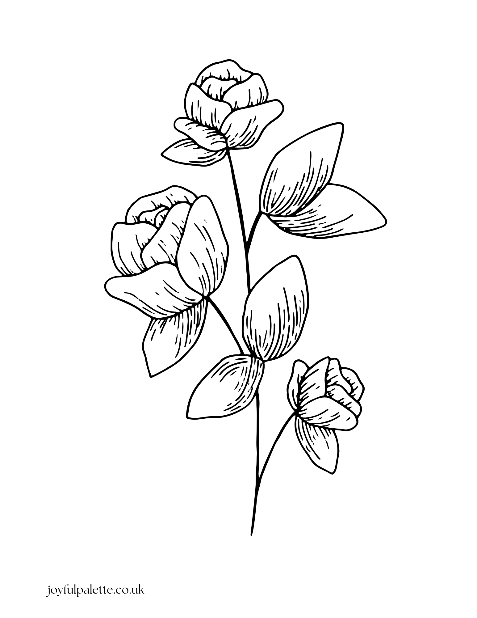 Large Flower Coloring Page 