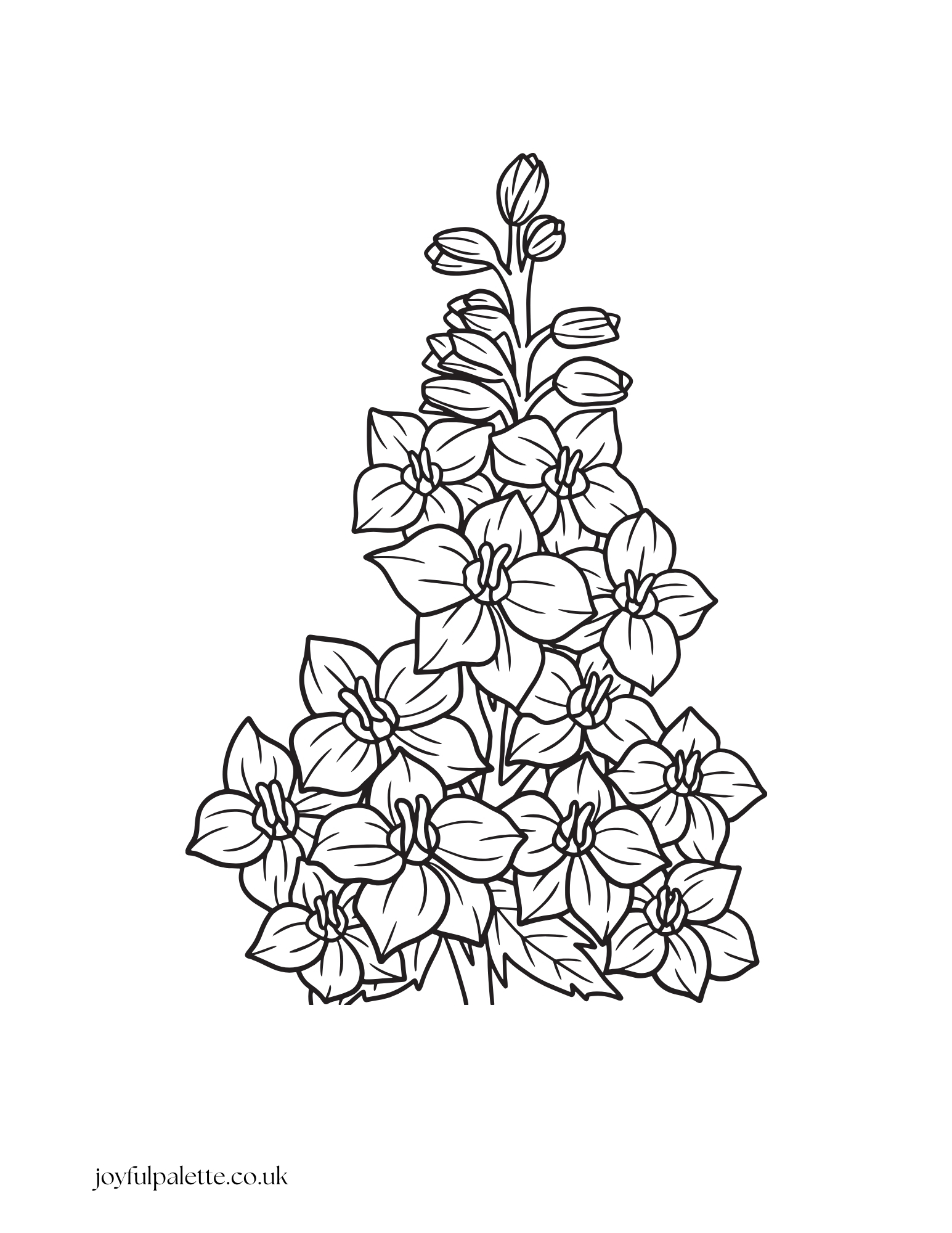 Spring Flower Coloring Page