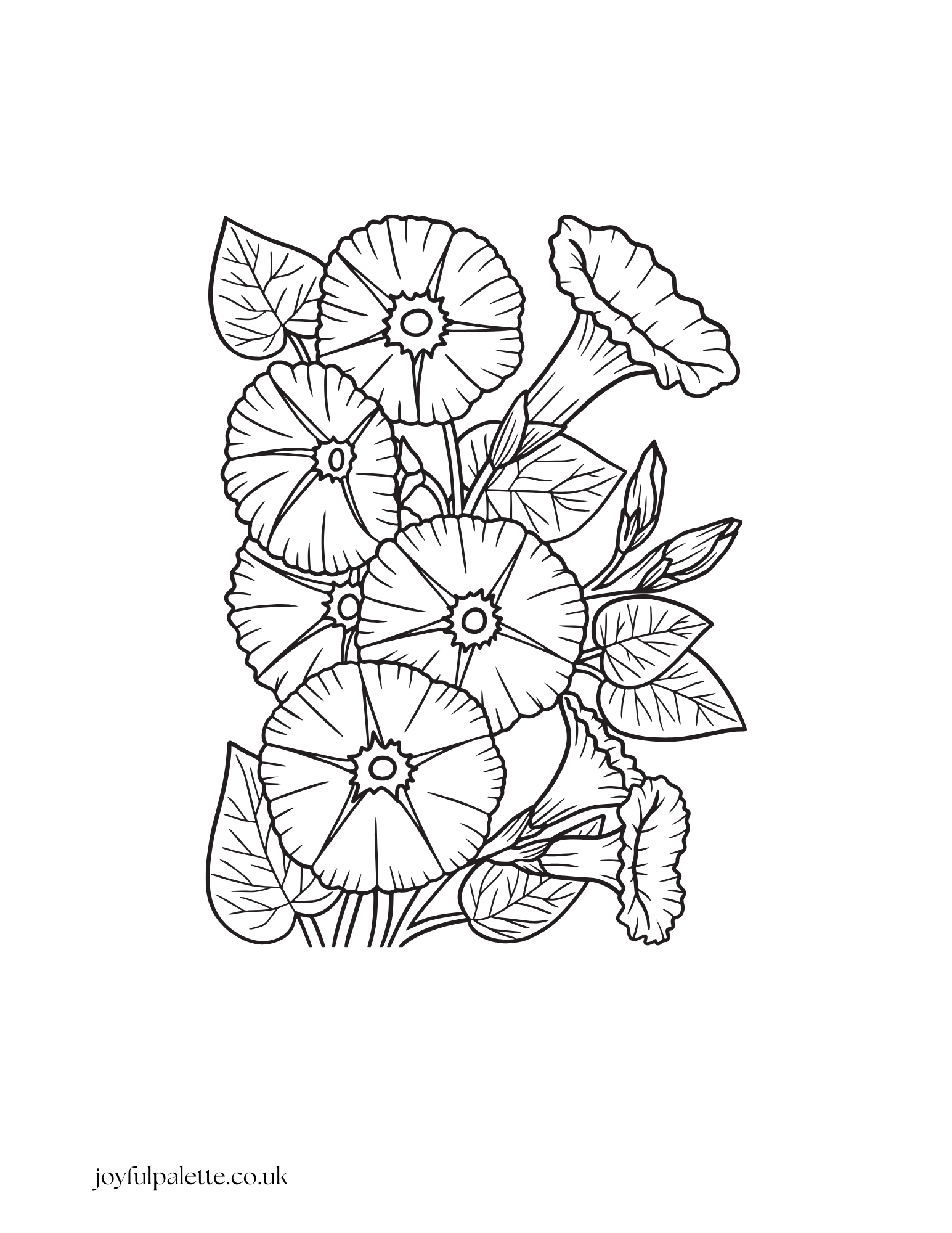  Flower Coloring Page PDF