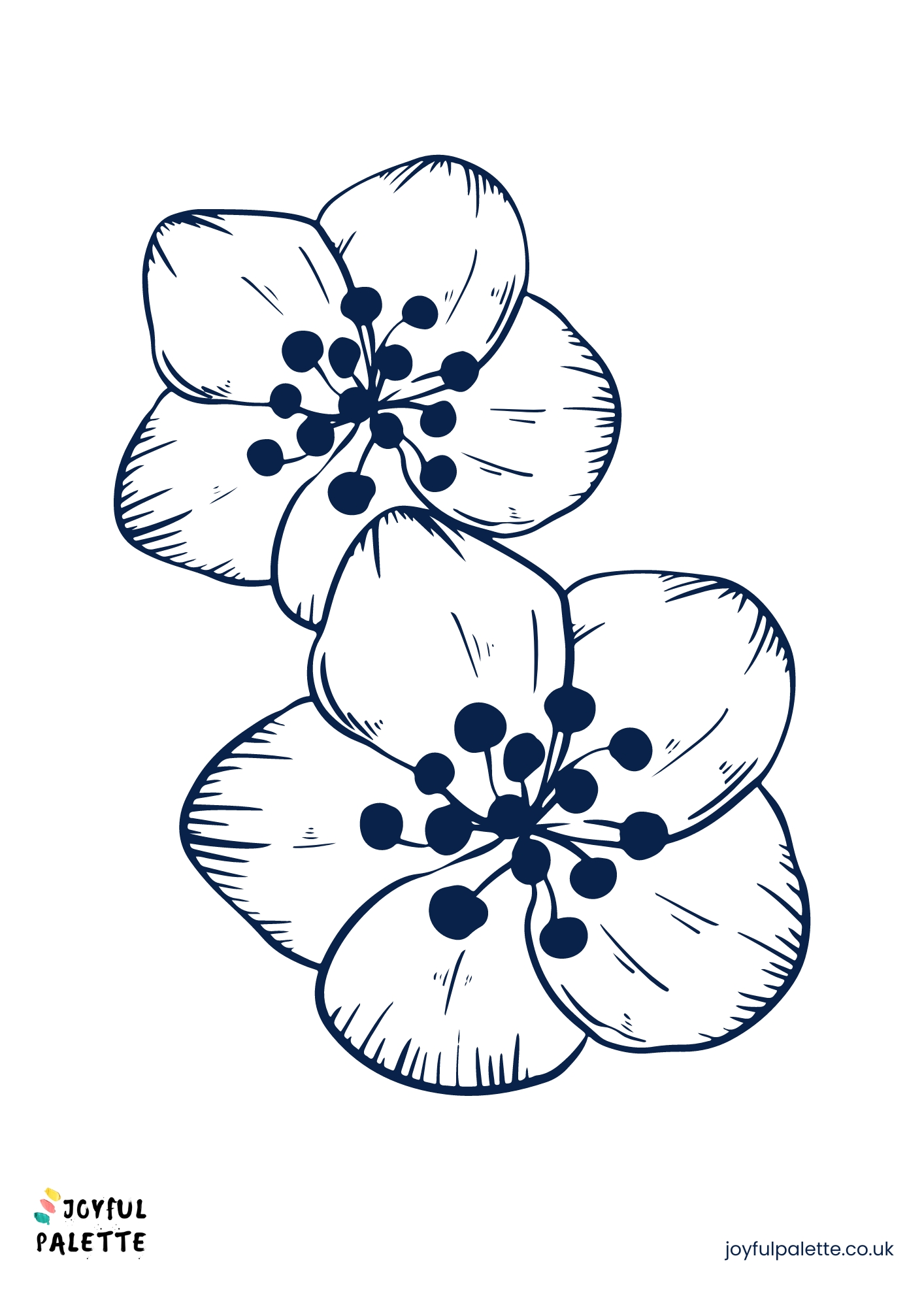 simple easy flowers to draw	