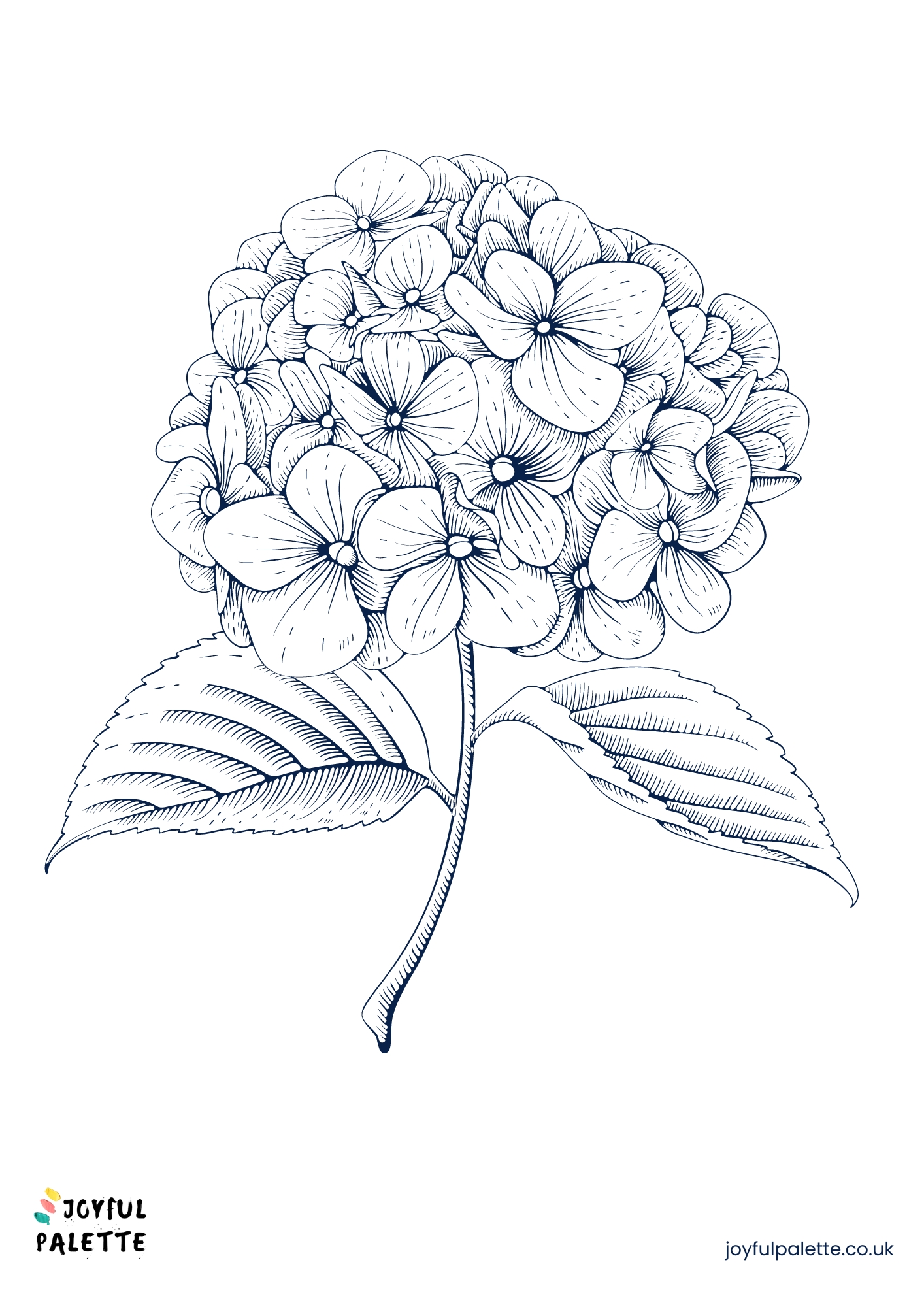 Hydrangea Flower Coloring Page