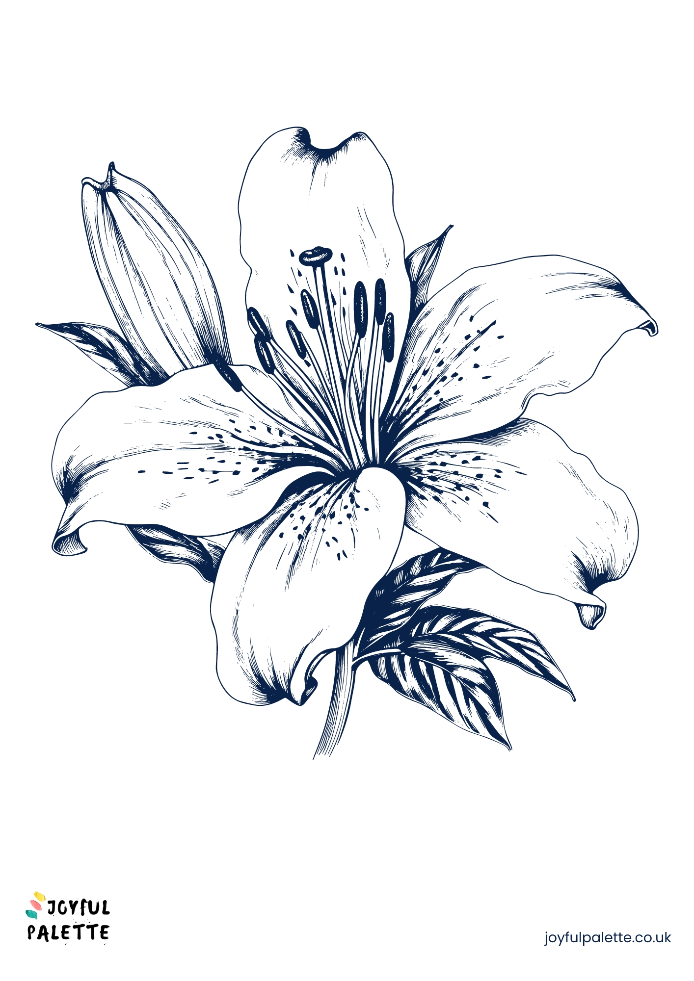 sketch drawing of a flower	