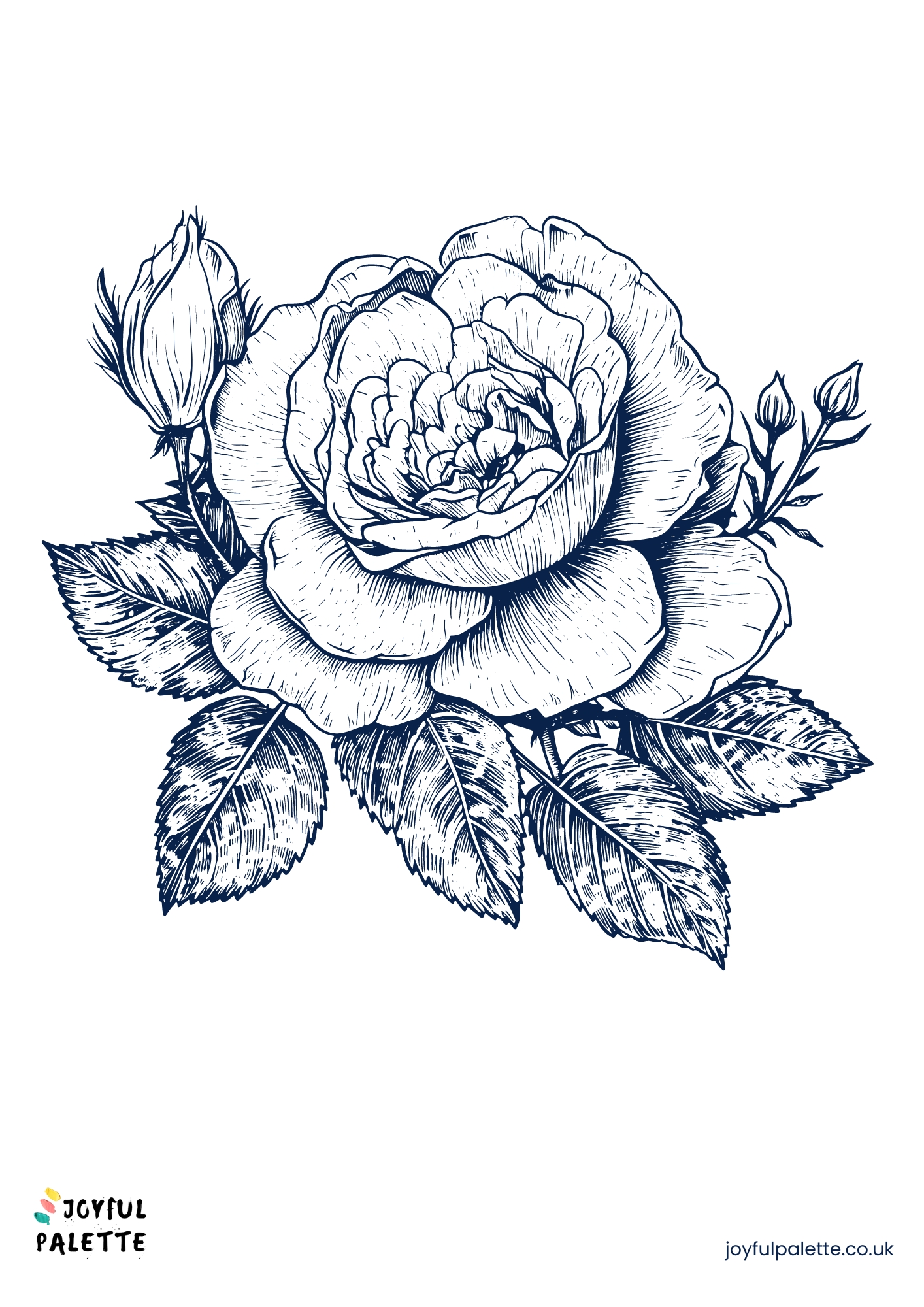 sketch drawing of a rose	