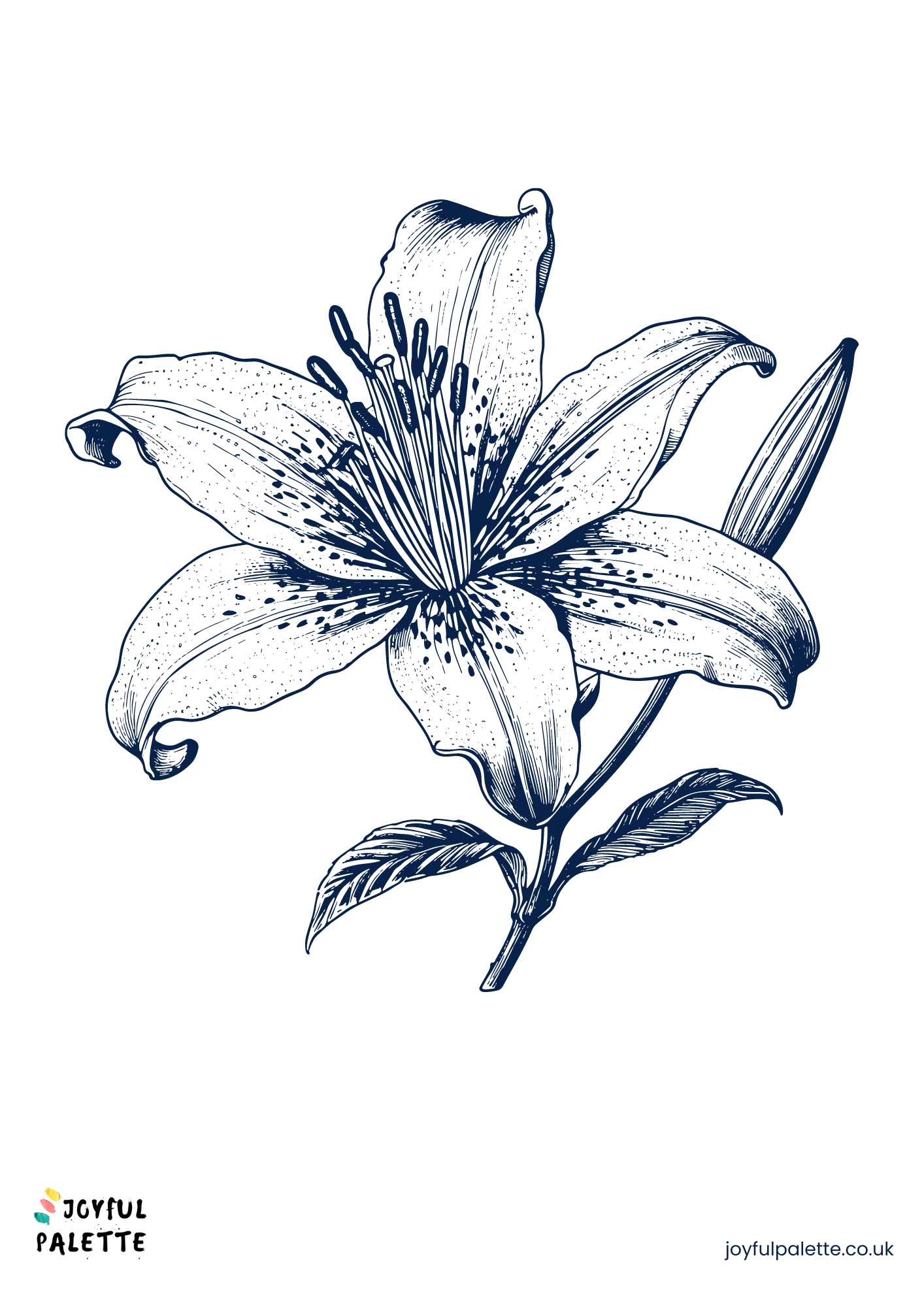 sketch drawing of a flower