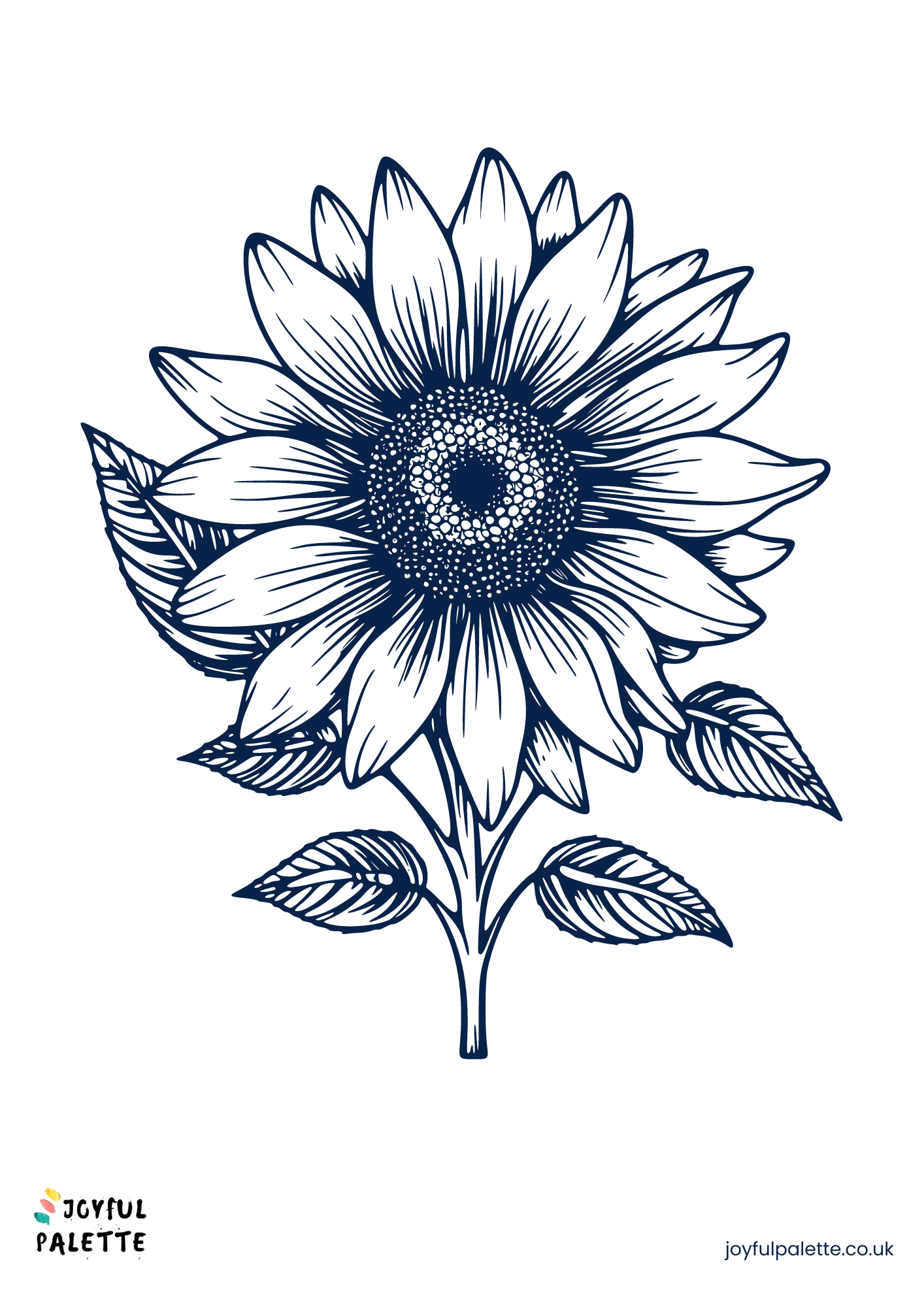 sketch drawing of a sunflower