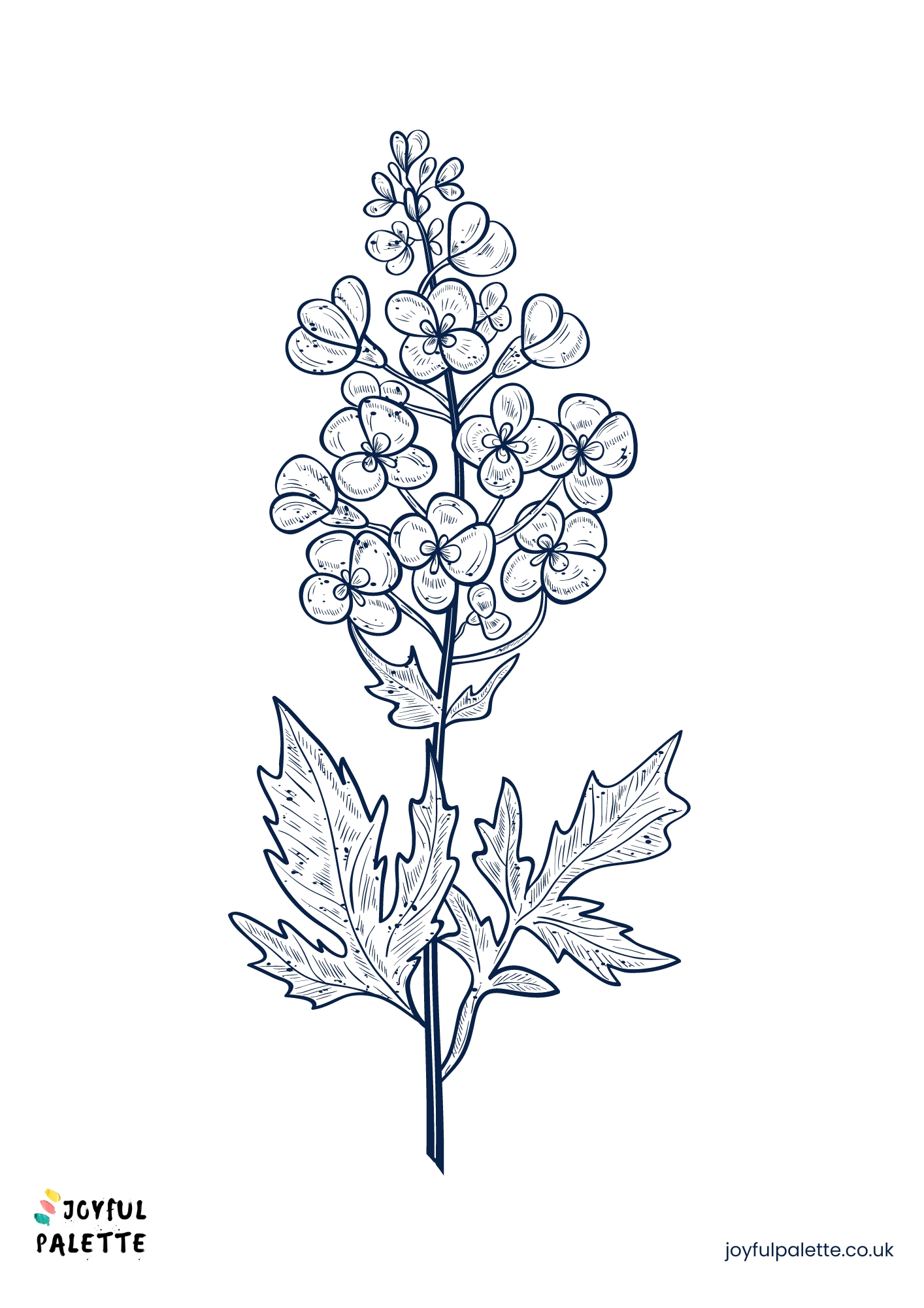 Forget Me Not Flower Sketch